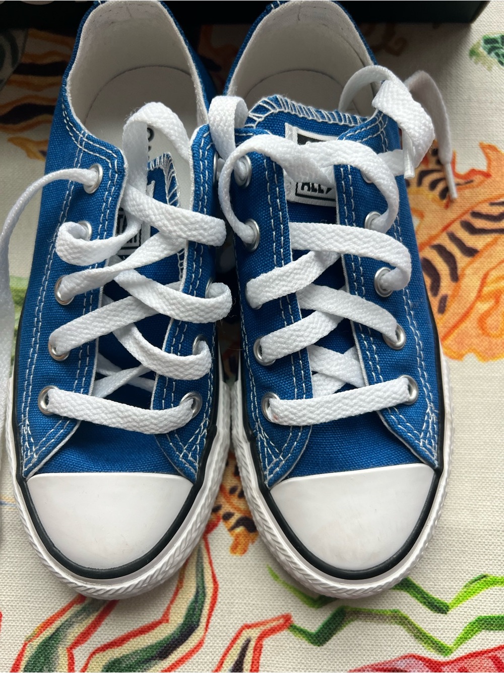 Converse Kids Snorkel Blue Low Top Sneakers